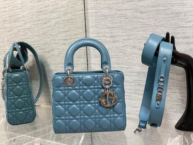 DIOR Handbags 567